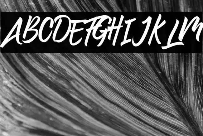 Preteoria Regular Font examples