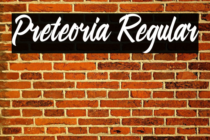 Preteoria Regular Шрифта examples
