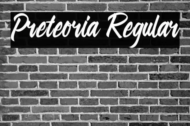 Preteoria Regular Font examples