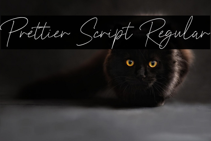 Prettier Script Regular Example 1