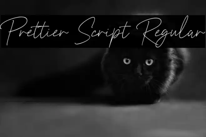Prettier Script Regular 字体 examples