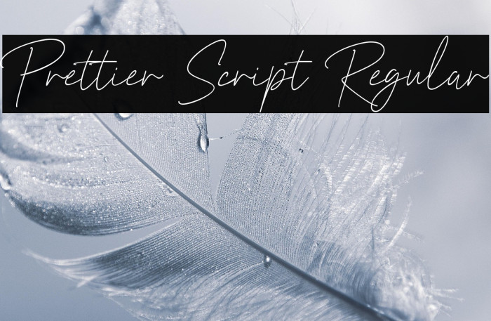 Prettier Script Regular Example 3