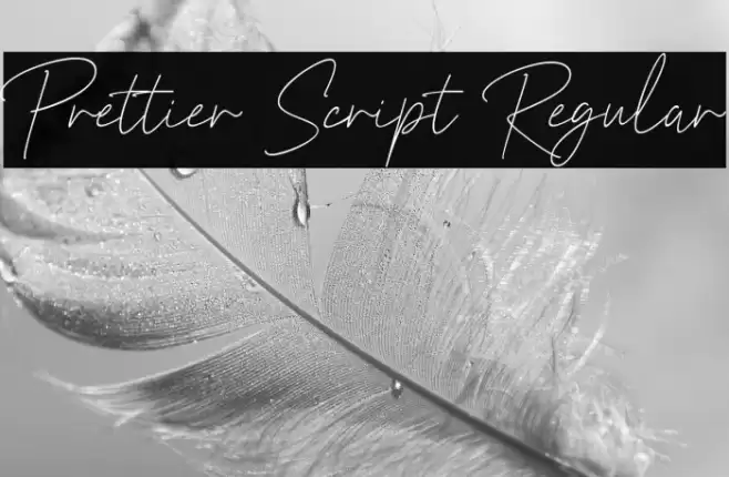 Prettier Script Regular 字体 examples