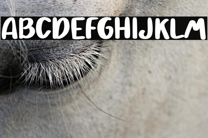 Pretty Bestie Example 2