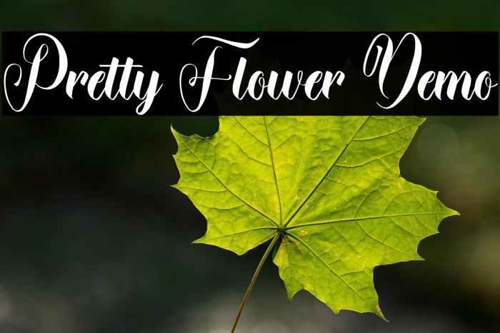 Pretty Flower Demo Example 3