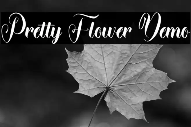 Pretty Flower Demo Font examples