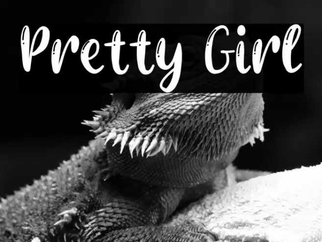 Pretty Girl Font examples