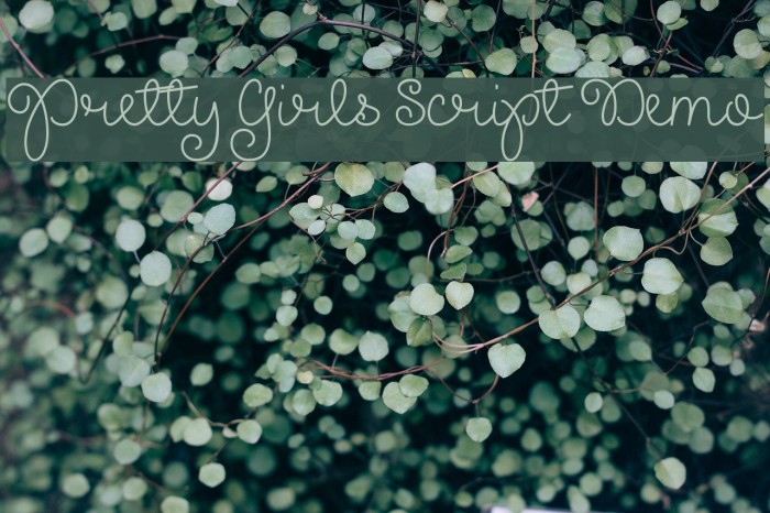 Pretty Girls Script Demo Font examples