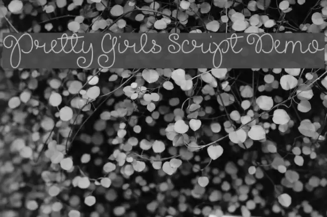 Pretty Girls Script Demo Font examples