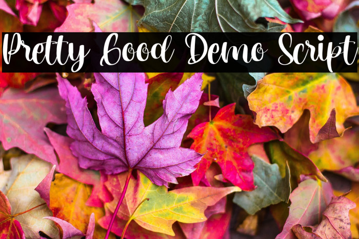 Pretty Good Demo Script Example 2