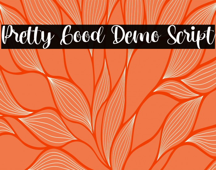 Pretty Good Demo Script Example 3