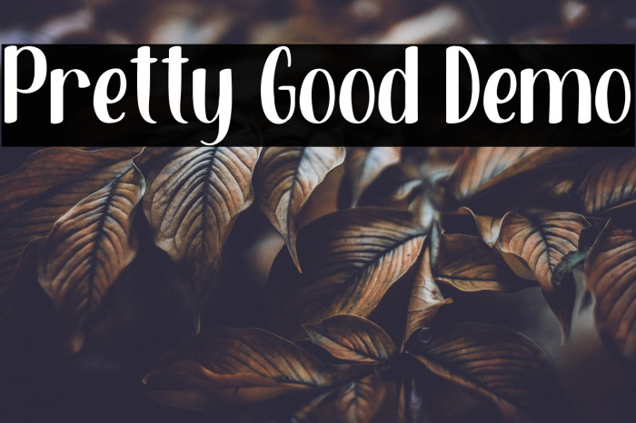 Pretty Good Demo Example 3