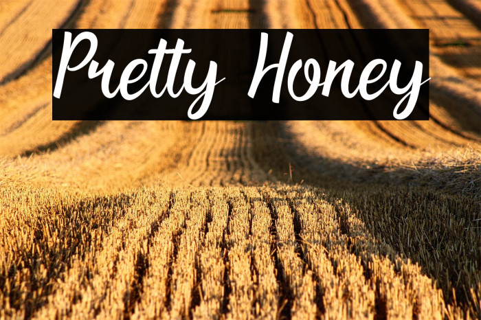 Pretty Honey Example 2