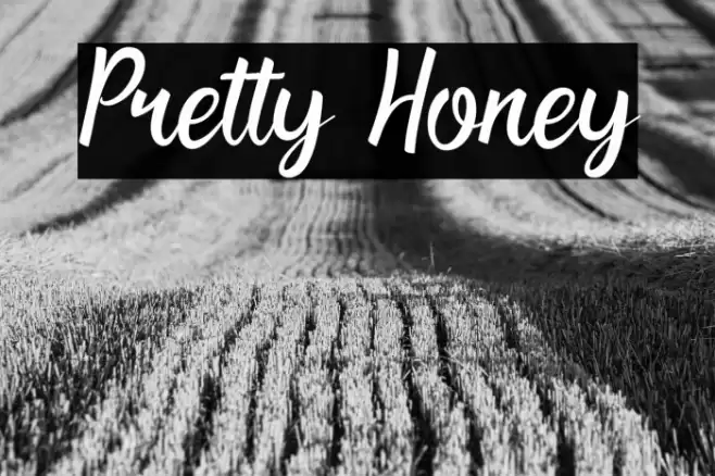 Pretty Honey Font examples
