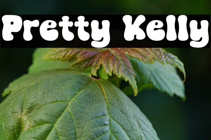 Pretty Kelly Example 2