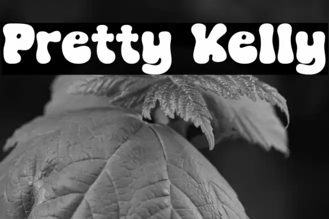 Pretty Kelly Caratteri examples