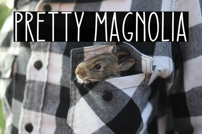 Pretty Magnolia Example 1