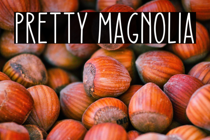 Pretty Magnolia Example 2