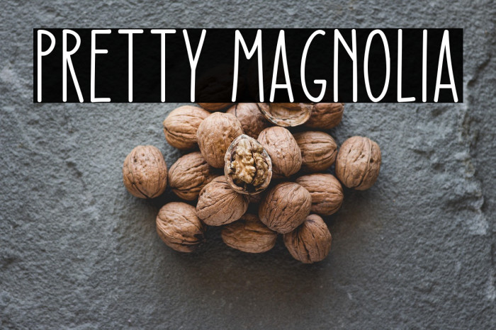 Pretty Magnolia Example 3