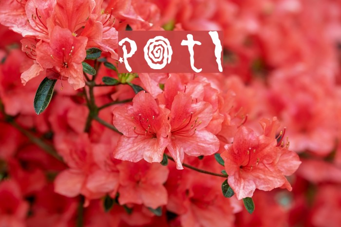 Pretty On The Inside Font examples