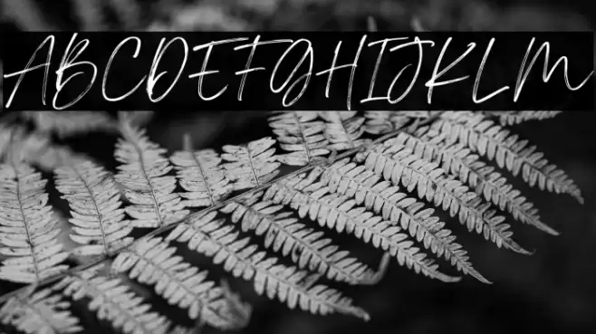 Pretty Queen Personal Use Font examples