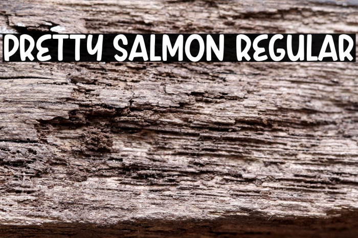 Pretty Salmon Regular Example 1