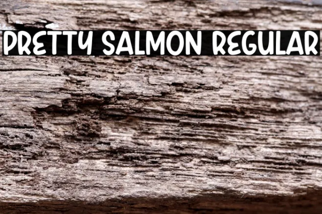 Pretty Salmon Regular Example 1