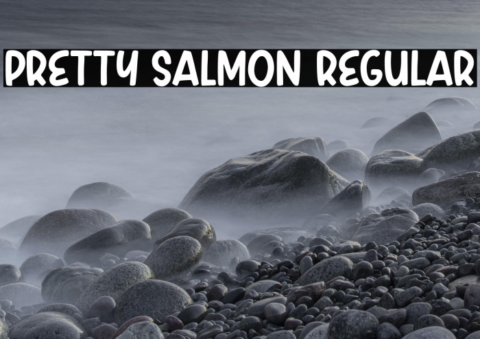 Pretty Salmon Regular Example 2