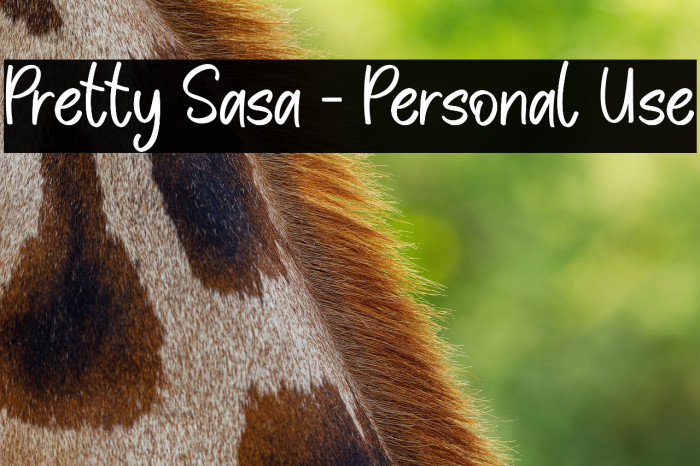 Pretty Sasa - Personal Use Example 2