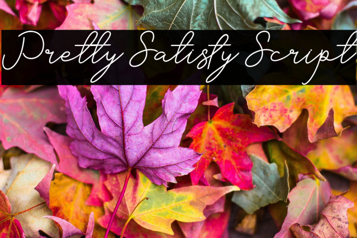 Pretty Satisfy Script Font examples