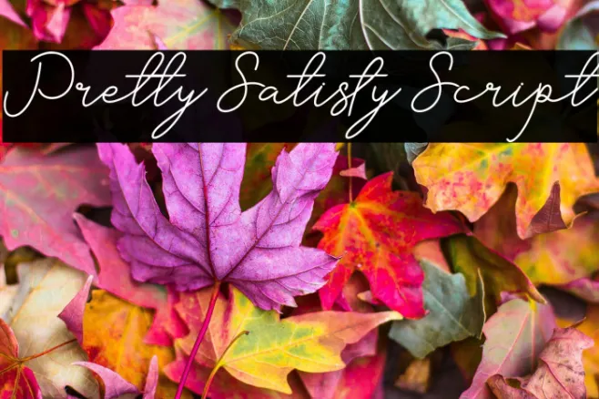 Pretty Satisfy Script Example 3