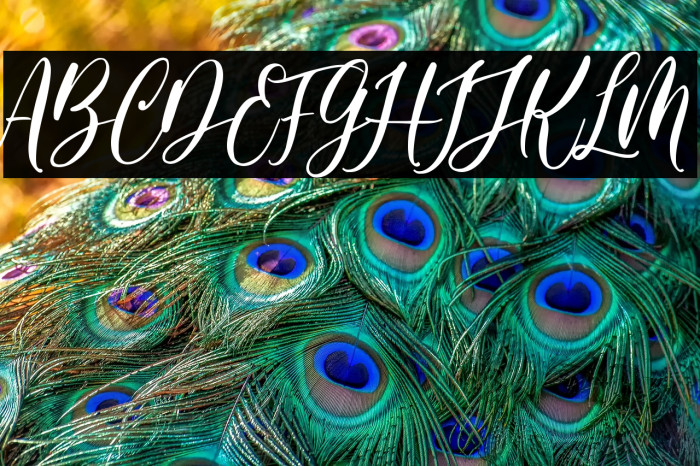 Pretty Smile Example 3