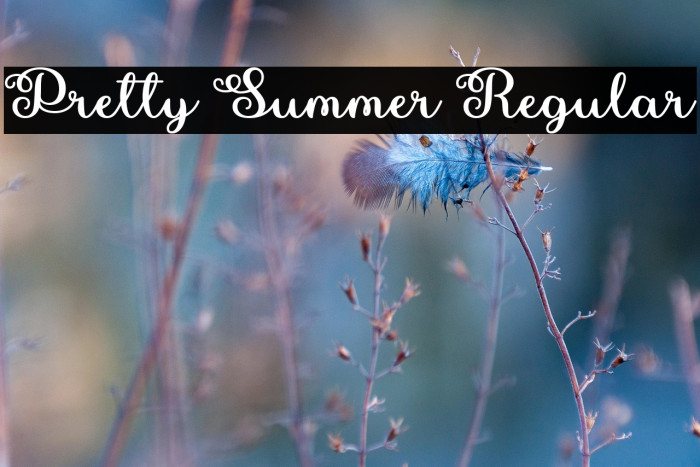 Pretty Summer Regular Example 3