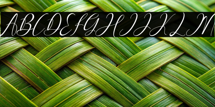 Pretty Willie Italic Example 1