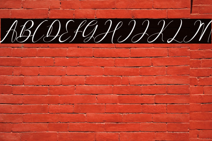 Pretty Willie Italic Example 3