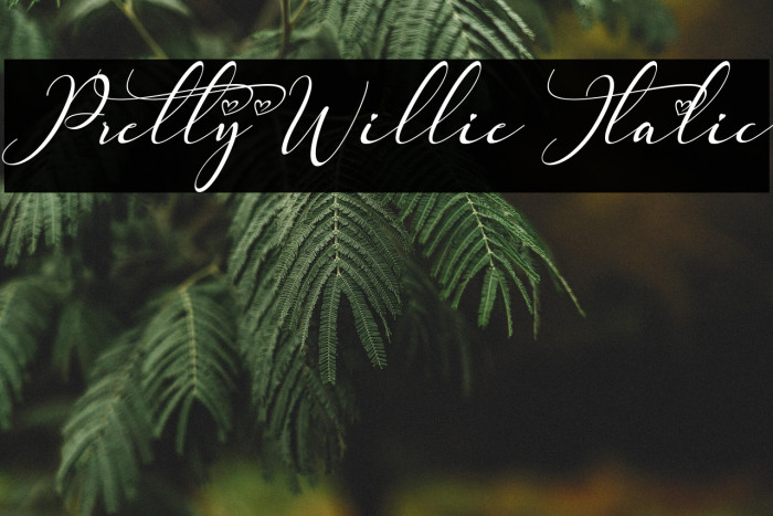 Pretty Willie Italic Example 1