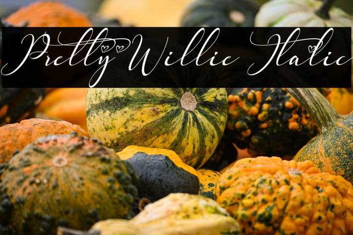 Pretty Willie Italic Example 2