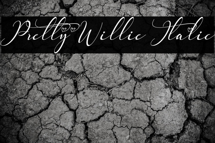 Pretty Willie Italic Example 3
