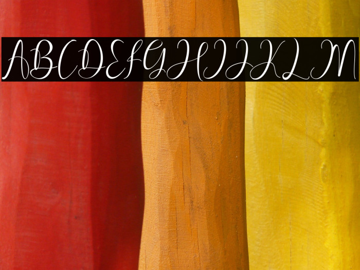 Pretty Willie Example 1