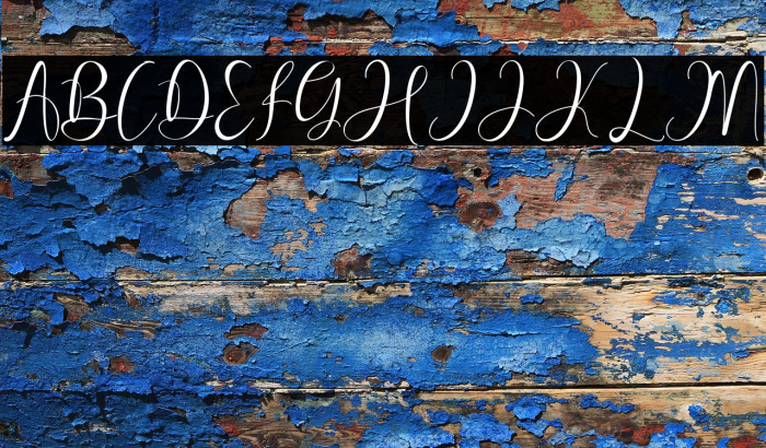 Pretty Willie Example 1