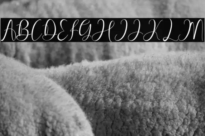 Pretty Willie Font examples