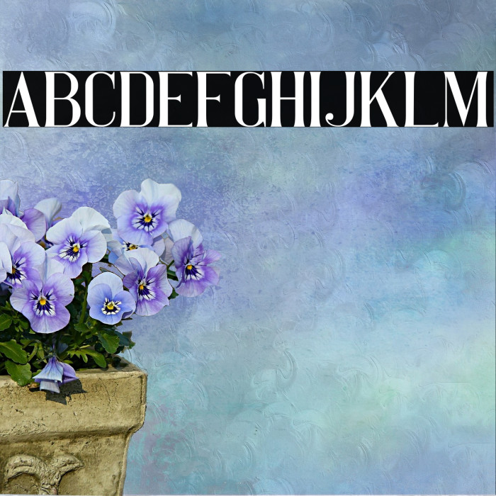 Pretty Women serif 字体 examples