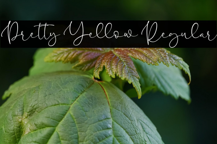 Pretty Yellow Regular Example 1