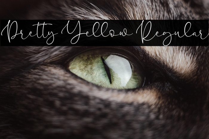 Pretty Yellow Regular Example 2