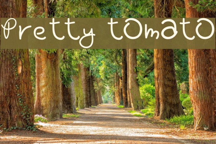 Pretty tOmAtO Font examples