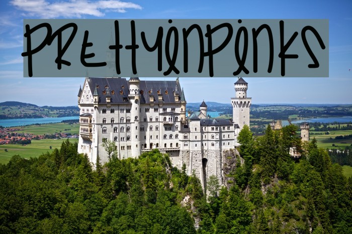 PrettyInPinks Example 3