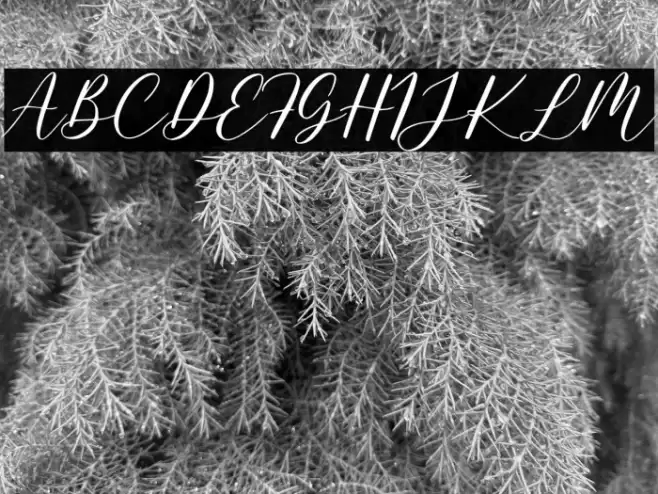 PrettyShine Font examples