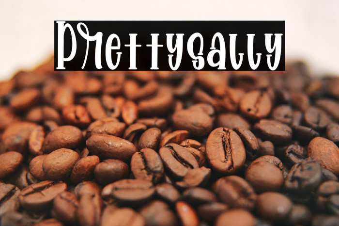 Prettysally Example 1