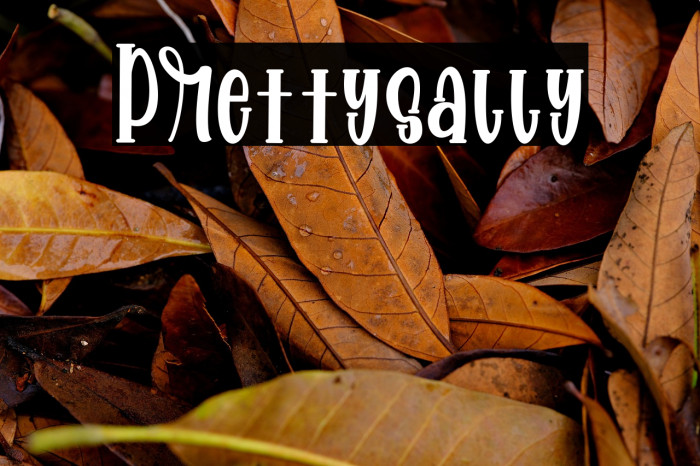 Prettysally Example 3