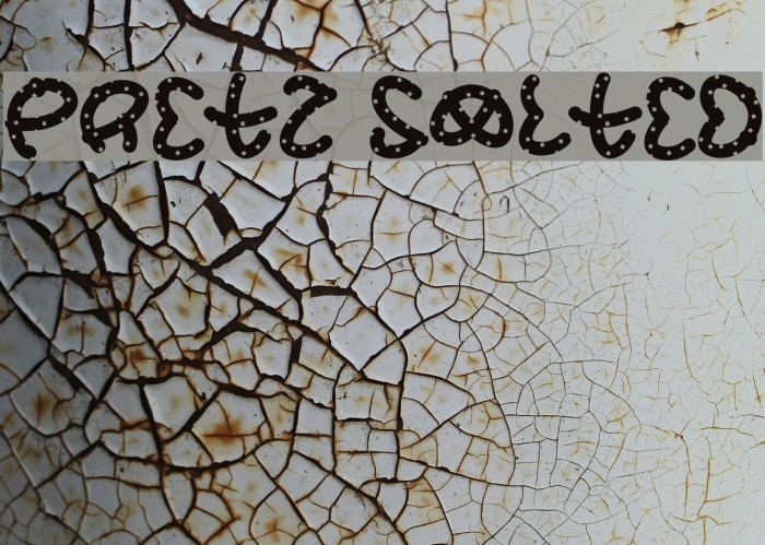 Pretz Salted Font examples